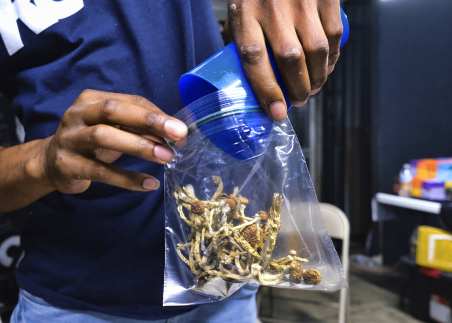 FILE - In this May 24, 2019, file photo a vendor bags psilocybin mushrooms at a pop-up cannabis market in Los Angeles.