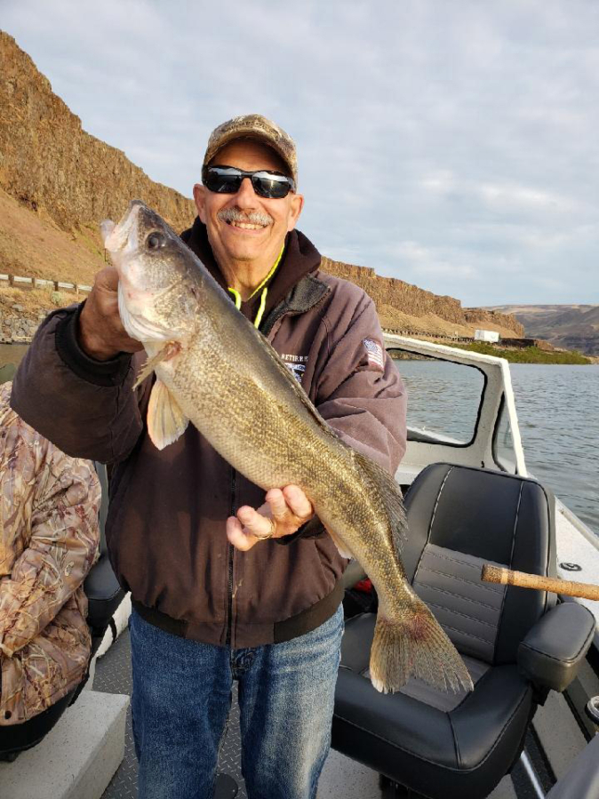 Spring walleye fishing in the Columbia River Gorge is all about getting the big trophy walleyes. This fish fell to a client fishing with Shane Magnuson of the Upper Columbia Guide service.