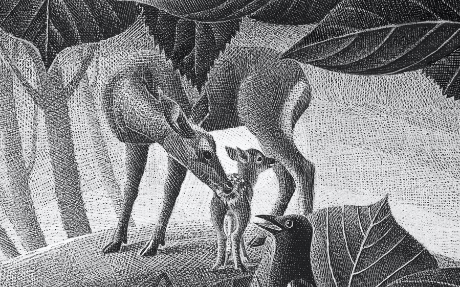 Illustrations by Alenka Sottler from "The Original Bambi: The Story of a Life in the Forest," by Felix Salten, published by Princeton University Press in a new translation by Jack Zipes.