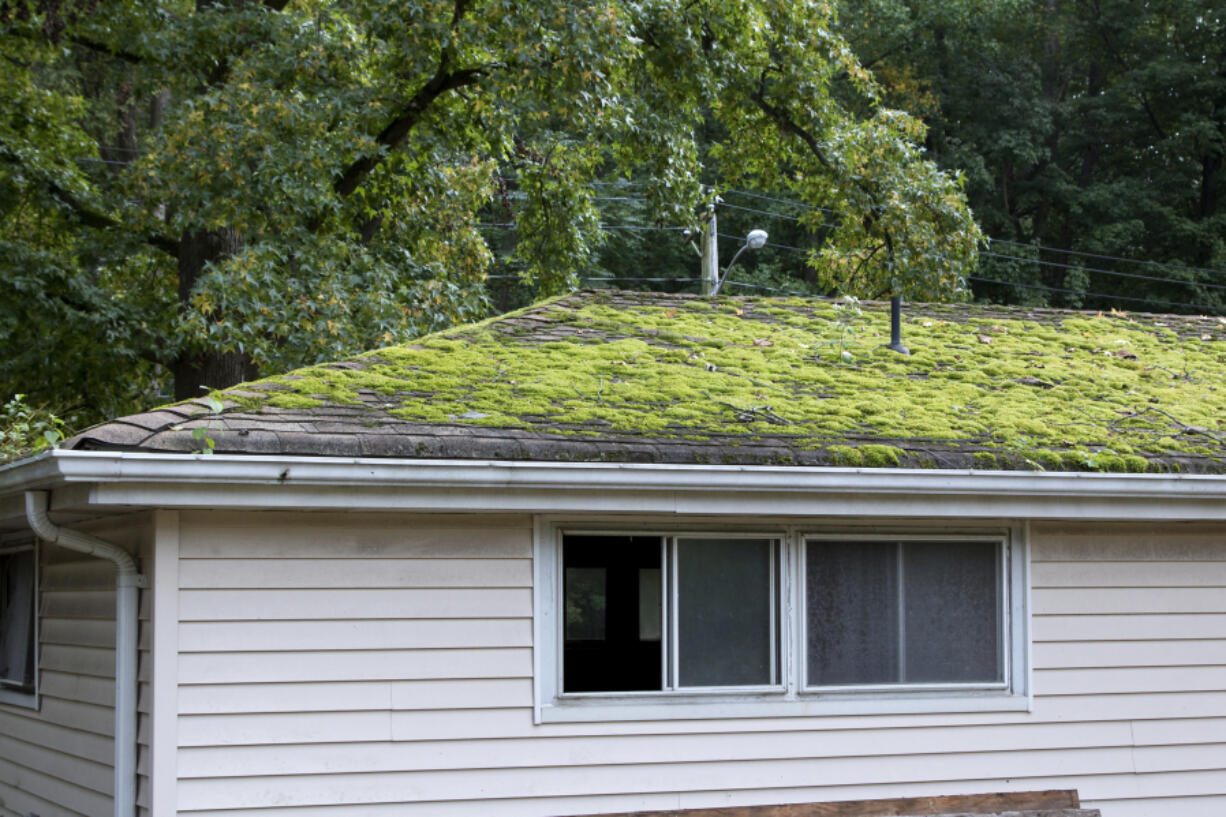 Moss can be problematic on roofs, causing virtually any roofing material -- especially wood and asphalt, but also clay, concrete and even metal -- to degrade, drastically shortening its lifespan.