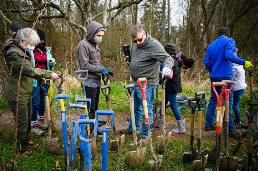 Volunteers grab shovels Saturday as they prepare to plant native species at Hidden Glen Park in Battle Ground as part of the Woodin Creek restoration project. (Molly J.