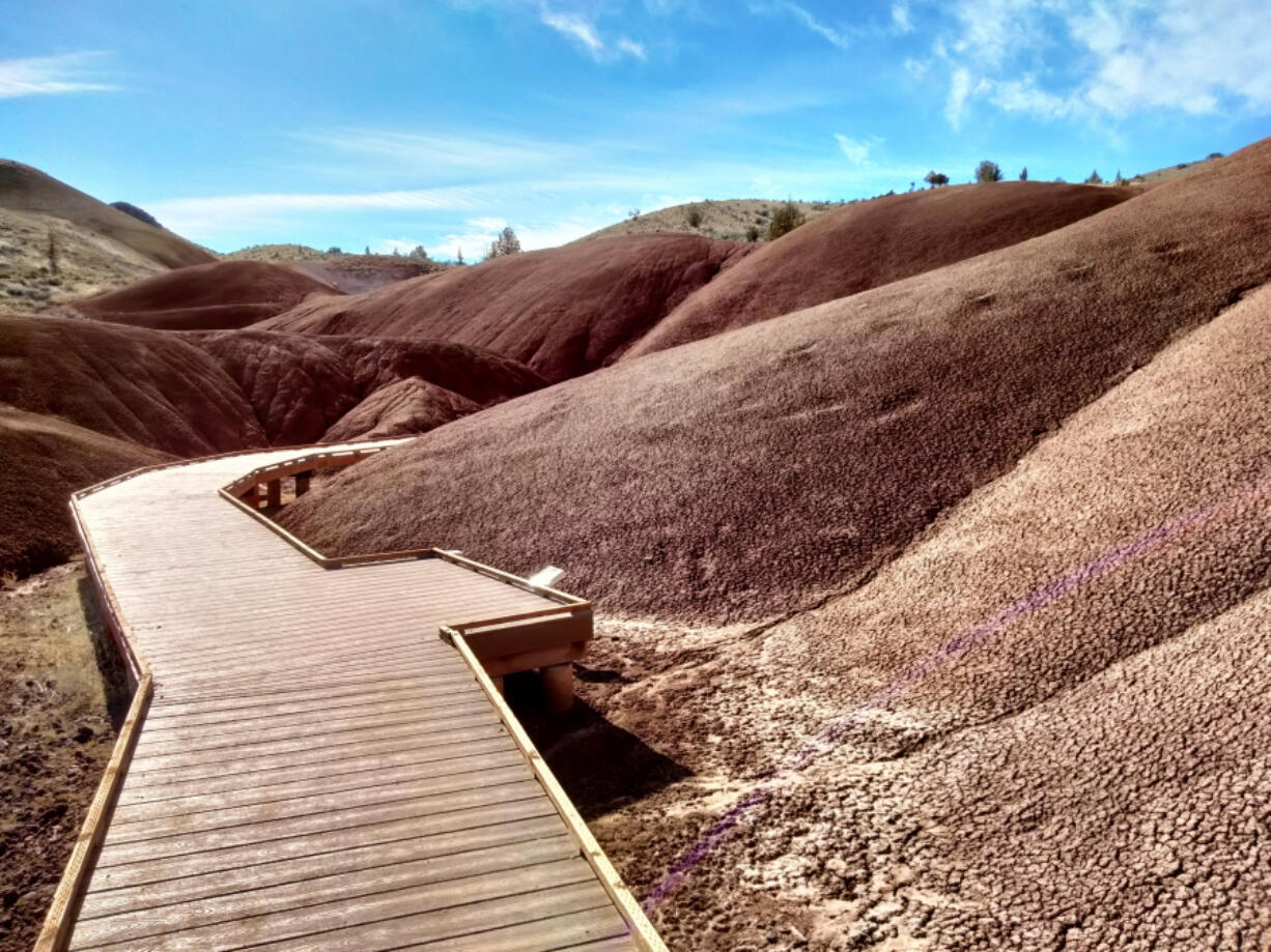 Over 30 million years ago, iron-rich volcanic ash fell on what's now the Painted Hills landscape of the John Day Fossil Beds. You can take a short, accessible walkway tour of these rust-red hills.