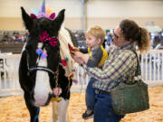 Stephanie Smith holds up her son, Bridger Smith, 2, both of Cashmere, while he places a bow on a Gypsy Drum horse, Jillie, during a presentation by the Gypsy Chyx on Saturday as part of the Washington State Horse Expo at the Clark County Event Center at the Fairgrounds.