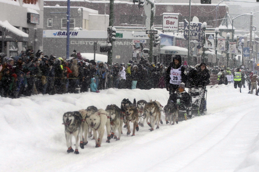 Five-time winner Dallas Seavey takes his sled dog team through a snowstorm in downtown Anchorage, Alaska, on Saturday, March 5, 2022, during the ceremonial start of the Iditarod Trail Sled Dog Race. The competitive start of the nearly 1,000-mile race will be held March 6, 2022, in Willow, Alaska, with the winner expected in the Bering Sea coastal town of Nome about nine days later.