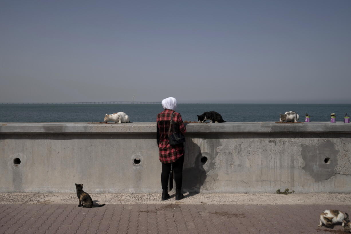 A woman feeds stray cats at the marina in Kuwait City on Feb 11.