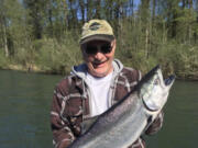 This spring Chinook was taken by Richard Twing on the Cowlitz River while fishing with guide Dave Mallahan a few years ago. After a two-year hiatus, anglers can once again keep spring Chinook salmon they catch on the Cowlitz River.