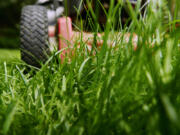 Now is the perfect time to get your lawnmower primed and prepped.