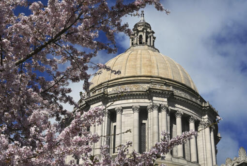 Spring blossoms frame the Capitol on March 31 in Olympia.