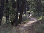 A mountain biker makes his way down a section of Phil's Trail west of Bend, Ore.