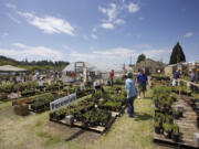 Shoppers browse at the Master Gardener Foundation Mother's Day Weekend Plant Sale at 78th Street Heritage Farm in 2019.