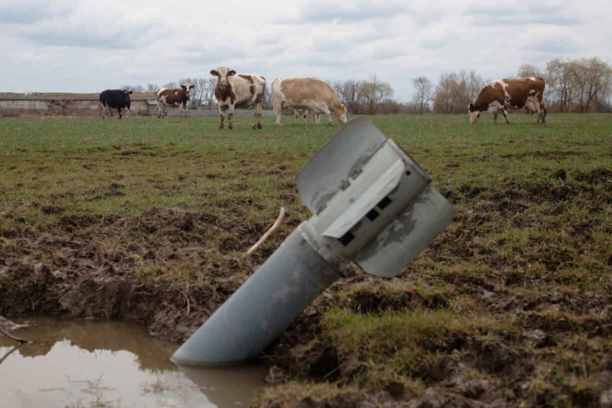 A rocket sits in a field near grazing cows on April 10, 2022 in Lukashivka village, Ukraine.
