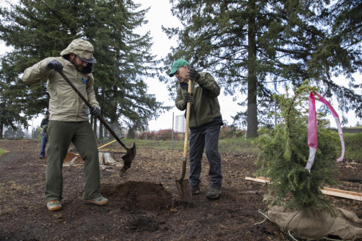 Matthew Kuntz, left, of Vancouver Parks and Recreation and Kevin Carr of Bartlett Tree Experts dig a hole Saturday morning during an Arbor Day service project hosted by Vancouver's Urban Forestry Commission at Old Apple Tree Park in Vancouver. Volunteers planted seven trees around the park and several small plants near the Vancouver Land Bridge.