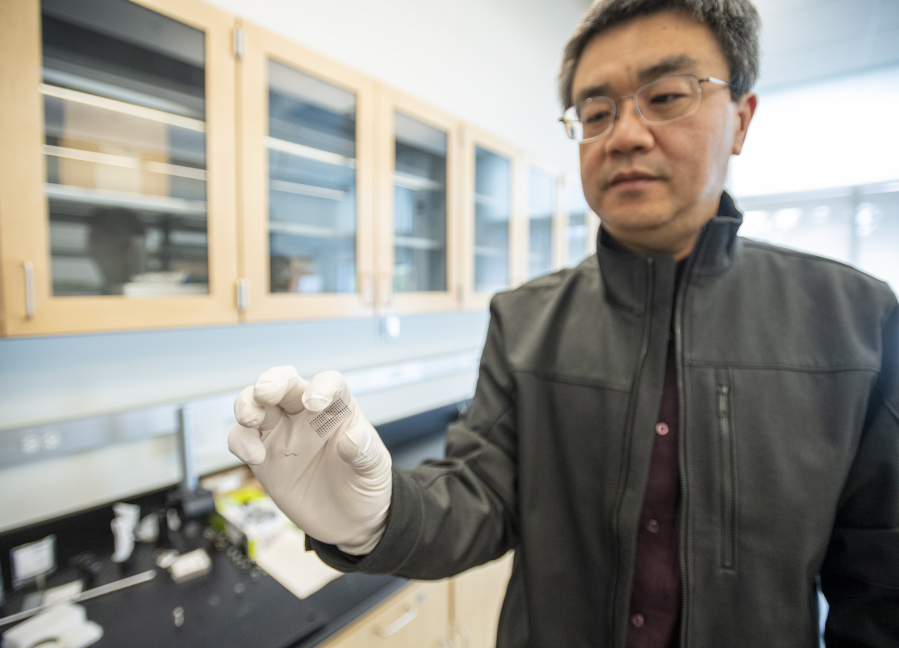 Feng Zhao, associate professor of electrical engineering at Washington State University Vancouver, holds up a glass slide containing silver electrodes and a thin film of honey on Wednesday at WSU Vancouver. Zhao and his students are trying to develop a honey-based neuromorphic computer chip that would be more energy efficient and environmentally friendly than current silicon-based chips.
