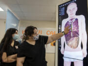Battle Ground High School sophomore Bianca Mendez, 16, left, looks on as Gigi Slaton-Benson, 15, also a sophomore, demonstrates how to perform a virtual dissection using an Anatomage Table on Wednesday morning. The 3D technology allows the students to learn more about the body and its various elements by using a touch screen.