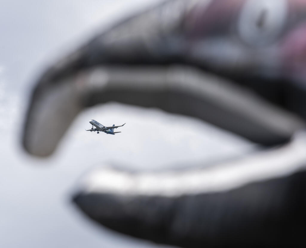 The mouth of an inflatable salmon frames an Alaska Airlines plane as it prepares to land at Portland International Airport on Friday, April 22, 2022, during the Stop Salmon Extinction Rally and March at the Vancouver Waterfront.