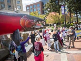 Stop Salmon Extinction Rally and March