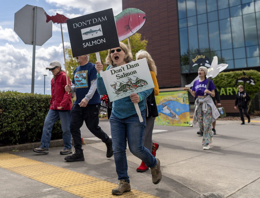 Protesters march along Evergreen Boulevard on Friday during the Stop Salmon Extinction Rally and March, which began at the Vancouver waterfront. The group focused on raising awareness for how outdated dams along the Snake River threaten the livelihood of endangered salmon species, an issue that state legislators have promised to reevaluate in the coming months.