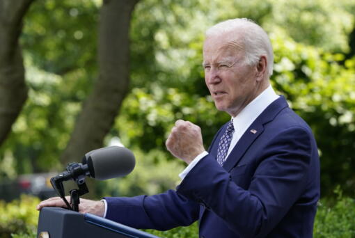 President Joe Biden speaks in the Rose Garden of the White House in Washington, Tuesday, May 17, 2022, during a reception to celebrate Asian American, Native Hawaiian, and Pacific Islander Heritage Month.