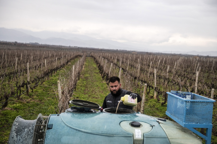 FILE - Farmer Dimitris Kakalis, 25, fills a spray machine with pesticide at his vineyard near the town of Tyrnavos, central Greece, Sunday, Feb. 13, 2022. The contamination of fruits and vegetables produced in the European Union by the most toxic pesticides has substantially increased over the past decade, according to new research published Tuesday, May 24, 2022.