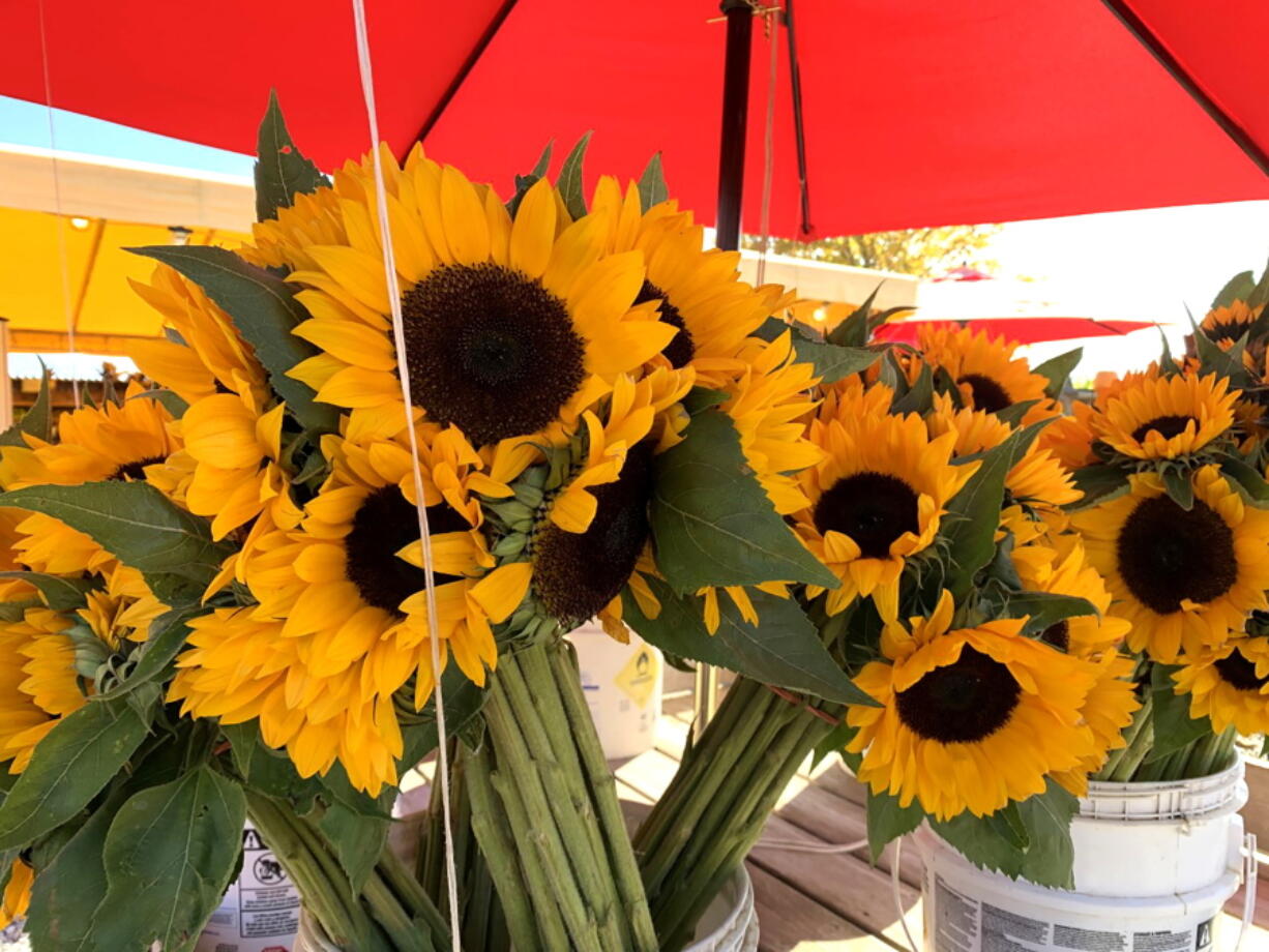 This image provided by Jessica Damiano shows a bouquet of cut sunflowers on Oct. 15, 2019 in Mattituck, N.Y.