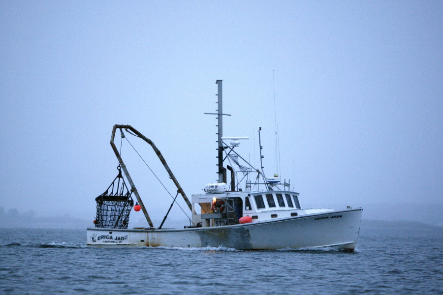 FILE -- A scallop fishermen heads out at dawn Saturday, Dec. 17, 2011, on opening day off Harpswell, Maine. America's commercial fishing industry fell 10% in catch volume and 15% in value during the first year of the COVID-19 pandemic in 2020, federal regulators said Thursday, May 12, 2022. Some of the largest value seafood species were once again New England staples, such as lobster, and sea scallops. (AP Photo/Robert F.