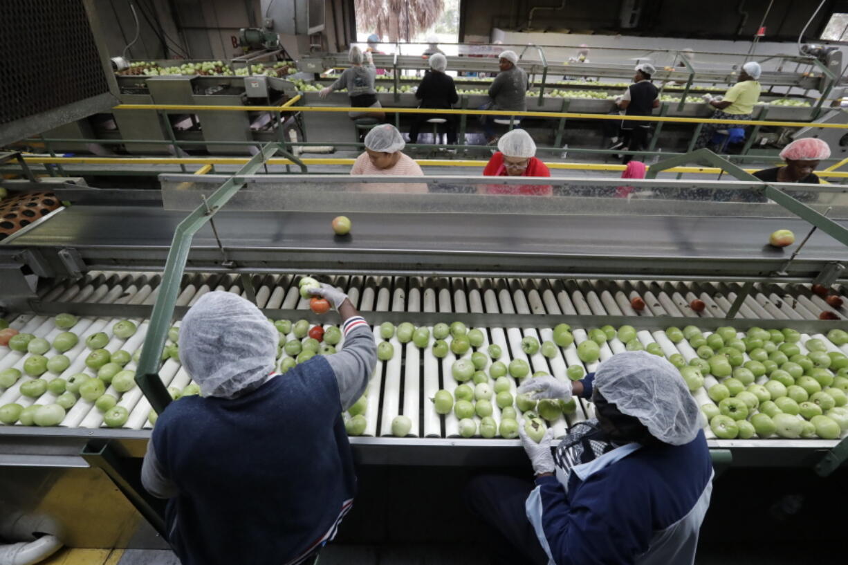 FILE - In this Feb. 5, 2020, file photo workers sort through tomatoes after they are washed before being inspected and packed, in Florida City, Fla., The surging cost of energy pushed wholesale prices up a record 11.2% last month from a year earlier -- another sign that inflationary pressure is widespread in the U.S. economy. The Labor Department said Wednesday, April 13, 2022 that its producer price index -- which measures inflation before it reaches consumers -- climbed at the fastest year-over-year pace in records going back to 2010 and rose 1.4% from February. Energy prices, which soared after Russia's Feb. 24 invasion of Ukraine, were up 36.7% from March 2021..