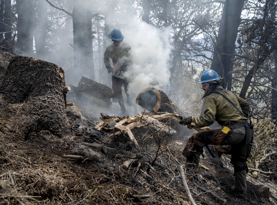 Carson Hot Shots Henry Hornberger, left, and Tyler Freeman cut up a hollow tree that was burning on the inside, Monday May 23, 2022, as they and their co-workers work on hot spots from the Calf Canyon/Hermits Peak Fire in the Carson National Forest west of Chacon, N.M. Crews in northern New Mexico have cut and cleared containment lines around nearly half of the perimeter of the nation's largest active wildfire while bracing for a return of weather conditions that might fan flames and send embers aloft.