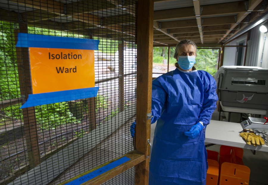 Ulrike Streicher, staff veterinarian at the Cascade Raptor Center in Eugene, Ore., stands in the doorway of an isolation ward set up to treat sick birds in an attempt contain bird flu within the center.