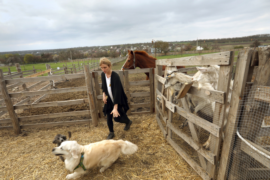 At Green Forest farm, animals effected by the Russian invasion of Ukraine are finding refuge with the help of Evigenia Malchanova, age 31, on April 28, 2022. Evigenia took in "Fiesta," a golden retriever whose family fled Kharkiv due to the war. Fiesta was suffering from severe anxiety when he arrived due to the Russian shelling. Evigenia has also taken in horses from Kharkiv, when their owner had to leave the country due to the war. The horses were so frightened of the shelling they would pass out in the field.