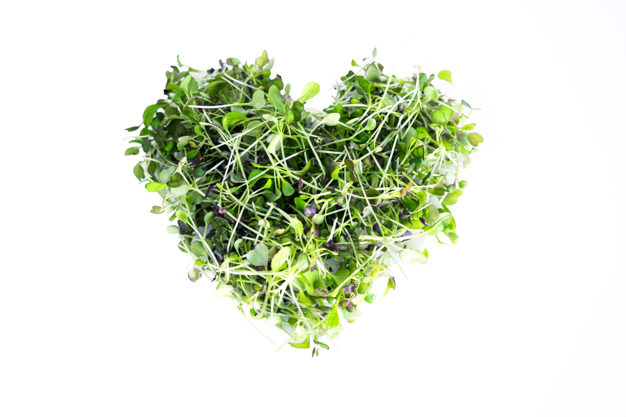 Microgreens are a fun way to get more leafy greens in your diet.