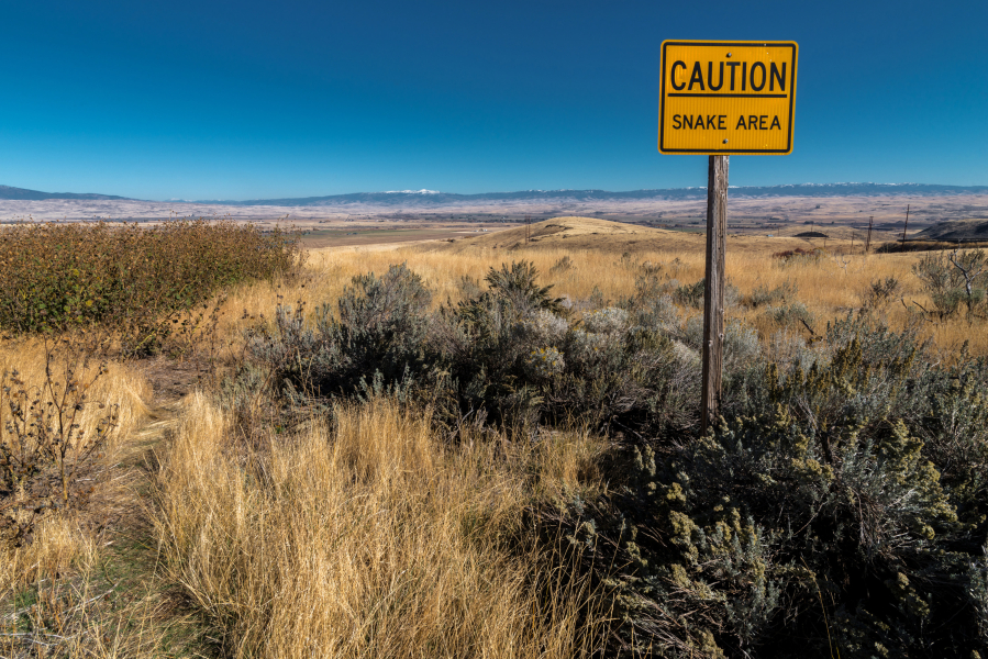 A rattlesnake warning sign is posted in Idaho. There are 12 snake species in the state.