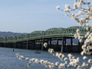 Delicate blossoms frame the Interstate 5 Bridge as they brighten the Vancouver Waterfront on March 24. The Interstate Bridge Replacement Program's locally preferred alternative is making rounds to local agencies before it can progress to the next project phase.