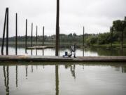 A WSU Vancouver graduate student leaves Vancouver Lake after taking water samples in 2019. Algal blooms in the water have been an issue for years.