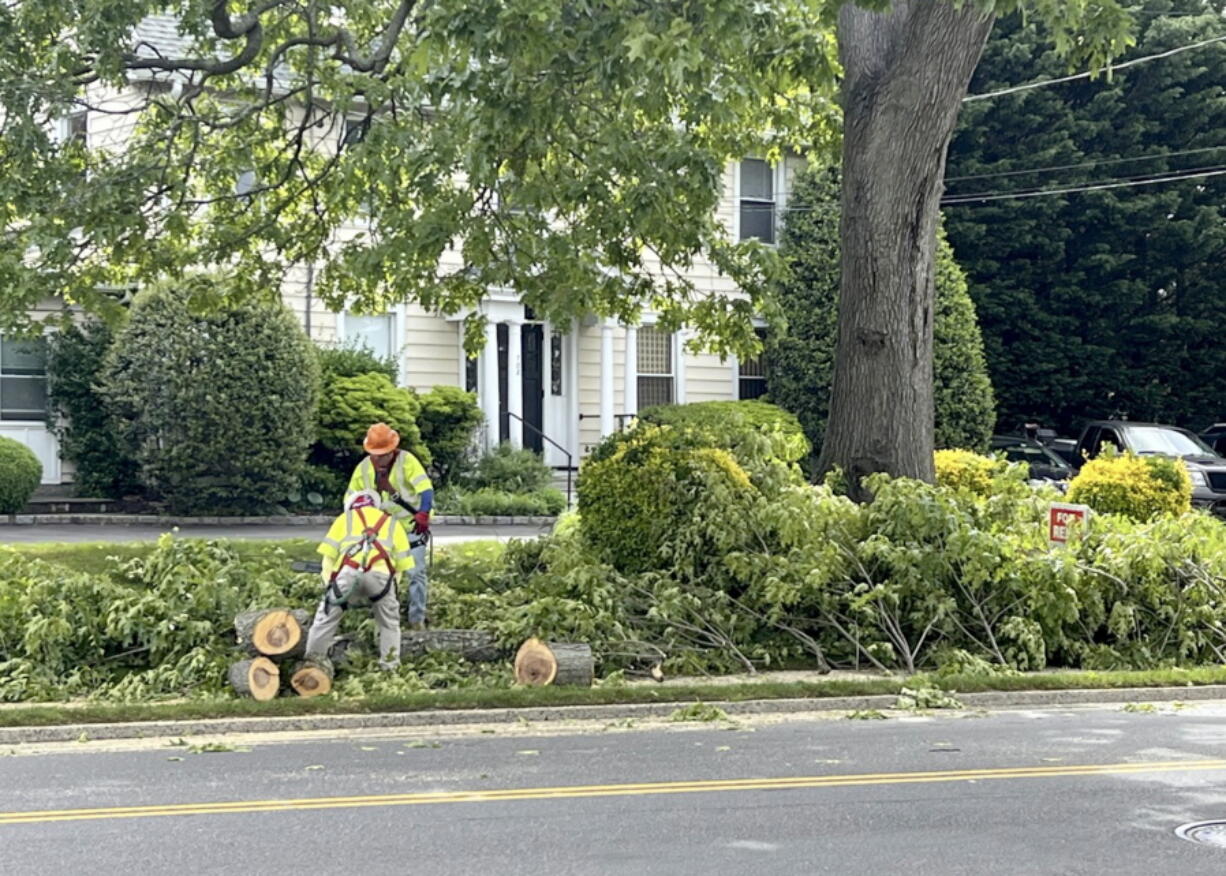 A professional tree crew in Glen Head, N.Y., safely removes and disposes of tree branches, as should be done in the wake of damaging storms.