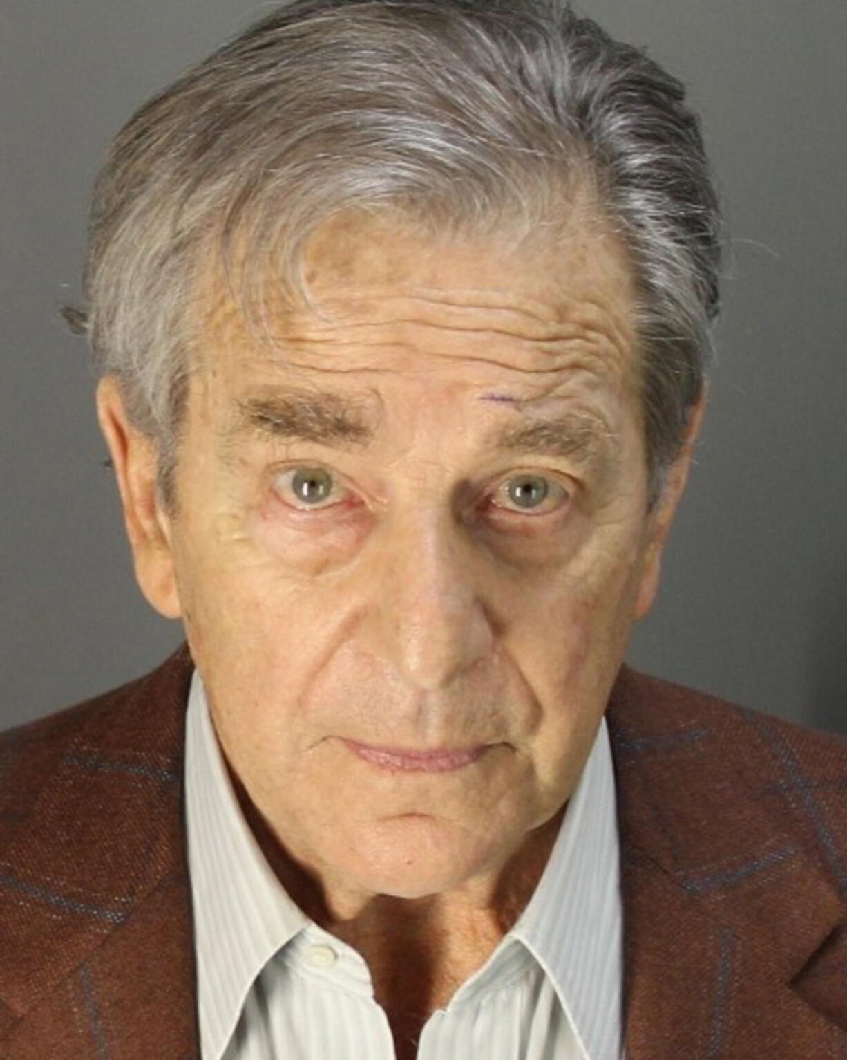 FILE - This booking photo provided by the Napa County Sheriff's Office shows Paul Pelosi on May 29, 2022, following his arrest on suspicion of DUI in Northern California. Pelosi, the 82-year-old husband of Speaker of the House Nancy Pelosi, was charged, Thursday, June 23, 2022, with driving under the influence.