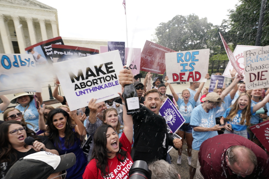 A celebration outside the Supreme Court, Friday, June 24, 2022, in Washington. The Supreme Court has ended constitutional protections for abortion that had been in place nearly 50 years -- a decision by its conservative majority to overturn the court's landmark abortion cases.
