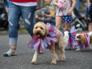 Ridgefield Fourth of July Parade