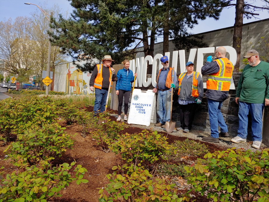 ARNADA: Vancouver Dawn Lions Club recently helped to beautify the downtown area by trimming, weeding and mulching the roses seen in front of the Vancouver sign when exiting northbound Interstate 5.