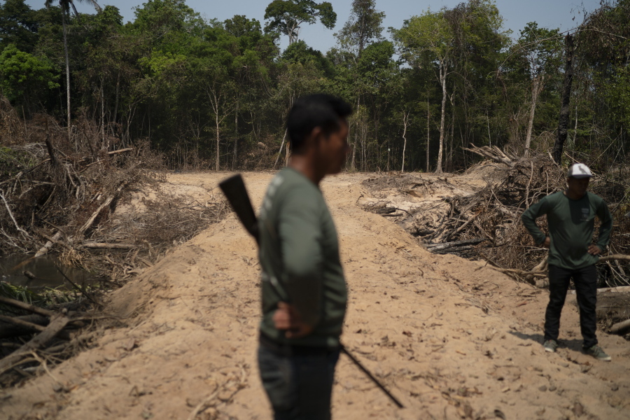 FILE - Monhire Menkragnotire, of the Kayapo indigenous community, center, surveys an area where illegal loggers opened a road to enter Menkragnotire indigenous lands, on the border with the Biological Reserve Serra do Cachimbo, top, where logging is also illegal, in Altamira, Para state, Brazil on Aug. 31, 2019. Environmental criminals in the Brazilian Amazon destroyed public forests equal the size of El Salvador over the past six years, yet the Federal Police carried out only seven operations aimed at this massive loss, according to a new study released Wednesday, July 20, 2022.