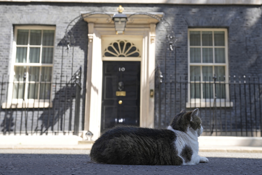Larry the Cat, Britain's Chief Mouser to the Cabinet Office rests in front of 10 Downing Street in London, Friday, July 8, 2022.