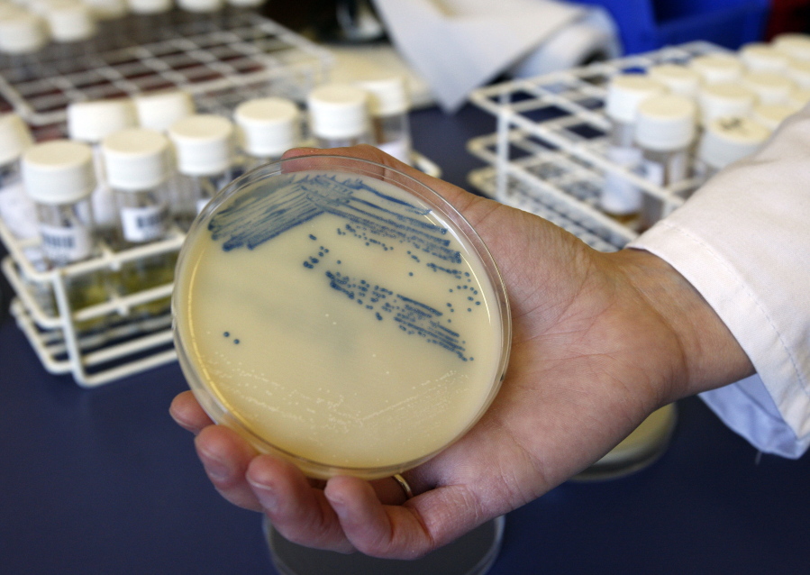 FILE  This Oct. 12, 2009 photo shows a petri dish with methicillin-resistant Staphylococcus aureus (MSRA) cultures at the Queen Elizabeth Hospital in King's Lynn, England. The U.S. toll of drug-resistant "superbug" infections worsened during the first year of the COVID-19 pandemic, health officials said Tuesday, July 12, 2022. After years of decline, the nation in 2020 saw a 15% increase in hospital infections and deaths attributed to some of the most worrisome bacterial infections out there, according to a Centers for Disease Control and Prevention report.