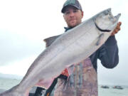A fine Buoy 10 Chinook salmon caught while fishing with guide Cameron Black. Black reports that before it was closed this past Wednesday, the Chinook bite had been fantastic. Black has been trolling spinners with 360 flashers.