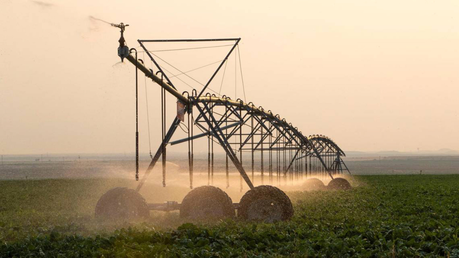 An irrigation pivot waters a crop of sugar beets along Kuna-Mora Road south of Meridian, Idaho.
