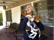 Shannon Keith, who runs the Beagle Freedom Project in Los Angeles, Calif., received 25 of 4,000 beagles rescued from the Envigo breeding and research plant in Virginia, which was closed by federal officials due to "overcrowded and unsanitary" conditions.
