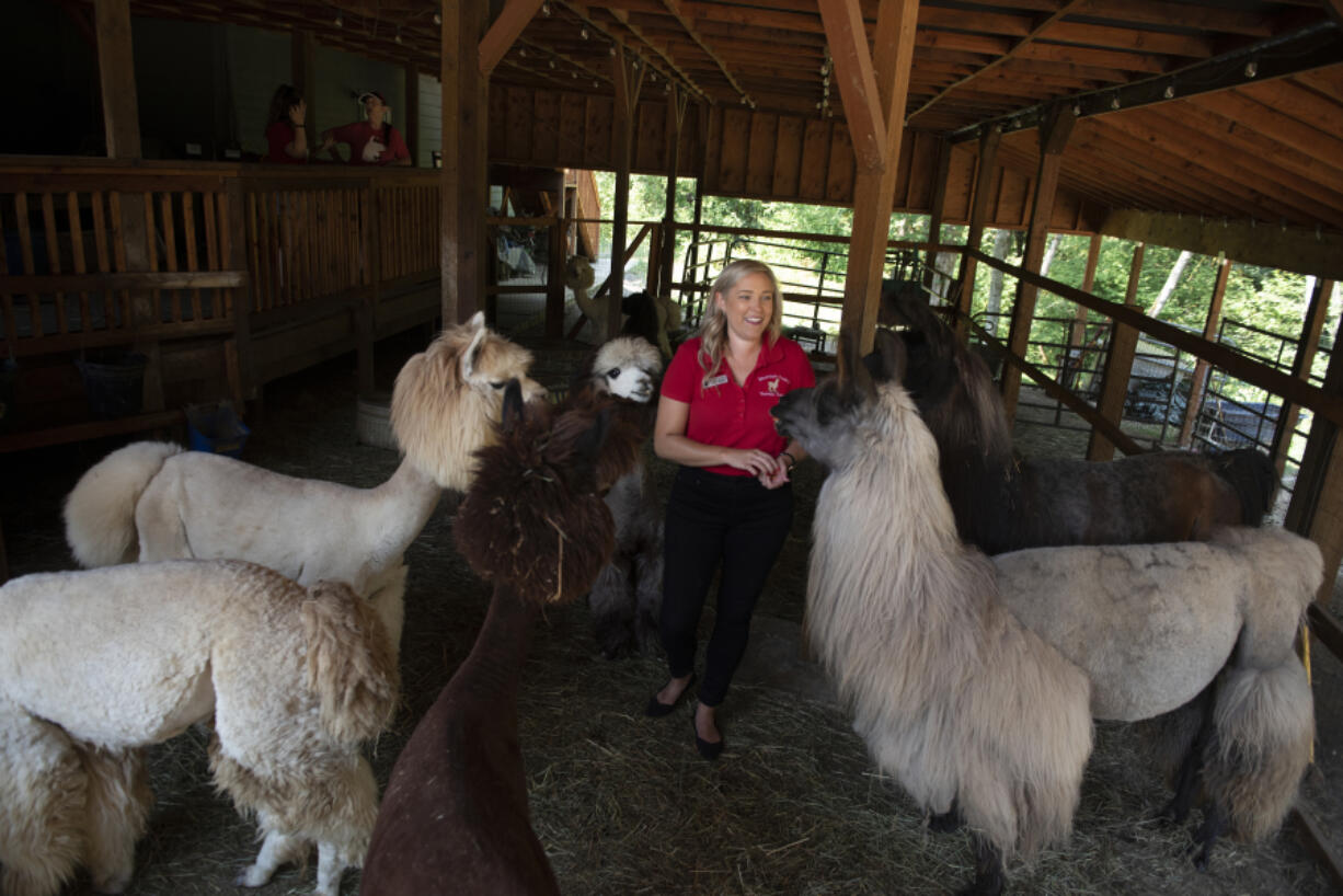 Shannon Joy, co-owner of Mtn Peaks Therapy Llamas & Alpacas, bonds with some four-legged friends on Monday afternoon. The facility will offer free farm visits for those undergoing cancer treatments, living with chronic pain, mental health issues, or with elderly family members.