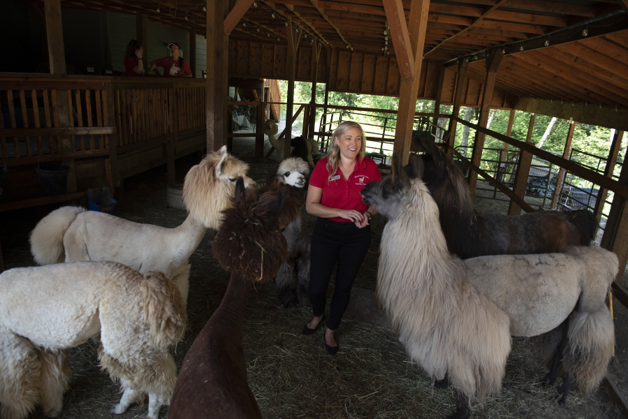 Shannon Joy, co-owner of Mtn Peaks Therapy Llamas & Alpacas, bonds with some four-legged friends on Monday afternoon. The facility will offer free farm visits for those undergoing cancer treatments, living with chronic pain, mental health issues, or with elderly family members.