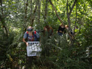 Aubrey Gay, 13, of Ridgefield, front, hikes through the thick brush at Coldwater Lake while hauling sediment samples collected during the GeoGirls outdoor volcano science program summer camp on Wednesday morning.