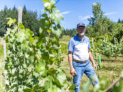 Rezabek Vineyards and Winery co-owner Roger Rezabek is the chair of a task force asking the federal government to recognize a Mount St. Helens American Viticultural Area.