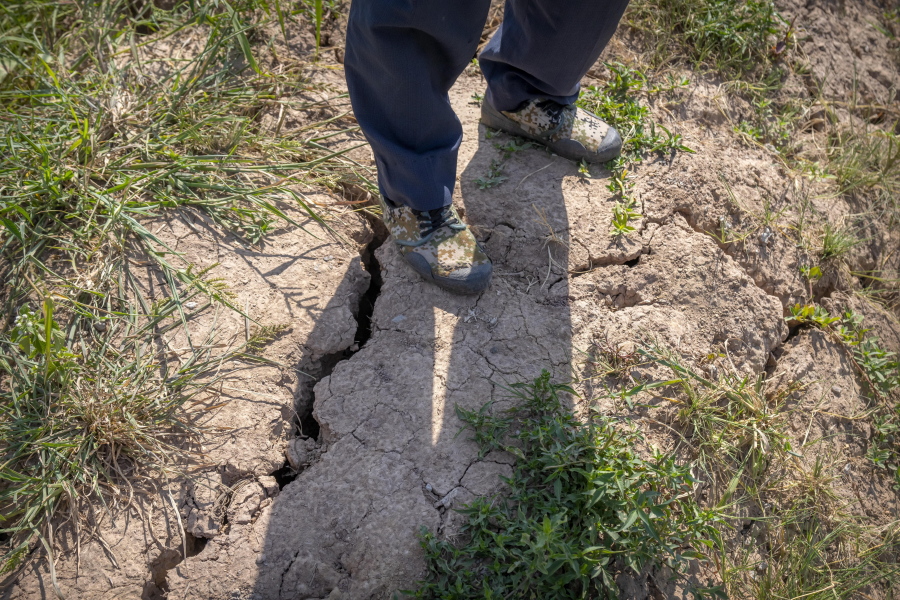 A farmer stands above a deep crack in the dried mud of an earthen embankment in his rice fields on the outskirts of Chongqing, China, Sunday, Aug. 21, 2022. The government says it will try to protect China's grain harvest from record-setting drought by using chemicals to generate rain, while factories in the southwest waited Sunday to see whether they might be shut down for another week due to shortages of water to generate hydropower.