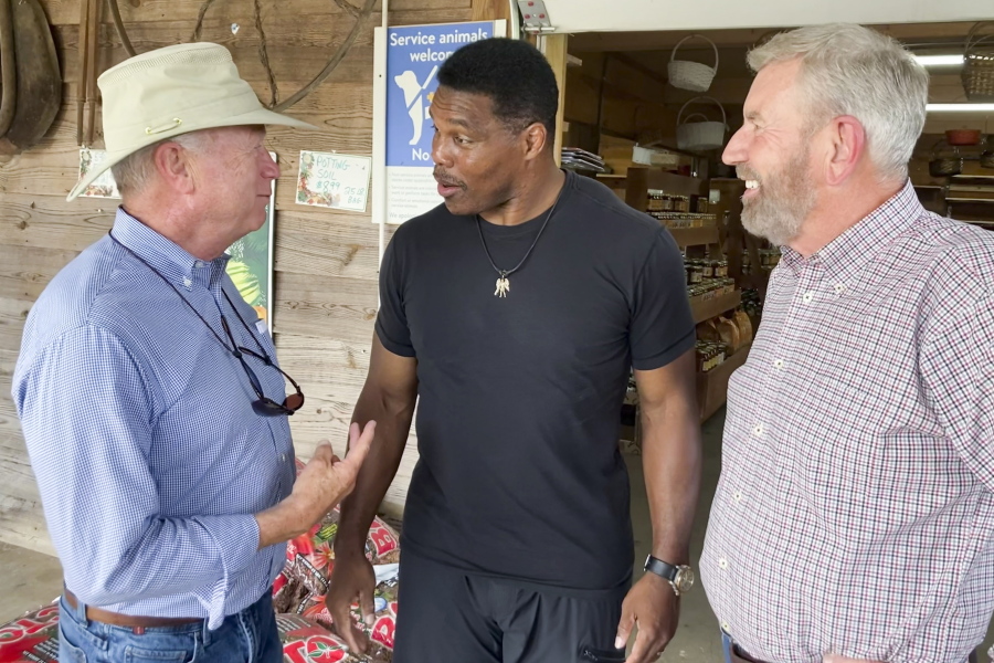 FILE - Republicans Senate candidate Herschel Walker, center, talks with Georgia state Sen. Butch Miller, left, and former state Rep. Terry Rogers as Walker campaigns July 21, 2022, in Alto, Ga. Walker has plenty to say about how his Democratic rival, Sen. Raphael Warnock, does his job in Washington. But he is considerably less revealing about what he'd do with the role himself.
